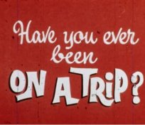 Have You Ever Been on a Trip?