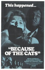 Постер Из-за кошек
