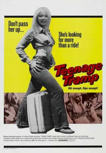 Подросток-бродяга / Teenage Tramp (1973)