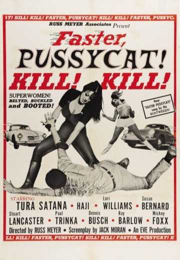 Постер Быстрее, кошечка! Убей, убей! / Faster, Pussycat! Kill! Kill! (1965)