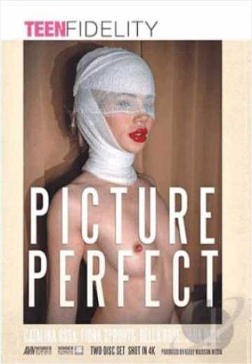 Идеальная Картина / Picture Perfect (2021)